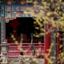 广富林文化遗址 - 上海市旅游 缩略图 6