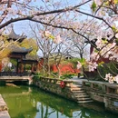 知也禅寺 - 上海旅游 缩略图 4