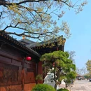 知也禅寺 - 上海旅游 缩略图 3