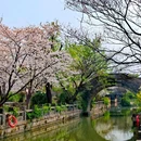 知也禅寺 - 上海旅游 缩略图 2