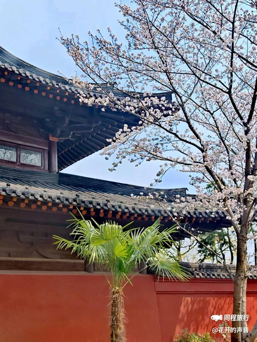 知也禅寺 - 上海旅游
