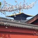 知也禅寺 - 上海旅游 缩略图 6