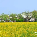 知也禅寺 - 上海旅游 缩略图 9