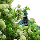 湖南烈士公园 - 长沙市旅游 缩略图 2
