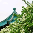 湖南烈士公园 - 长沙市旅游 缩略图 3