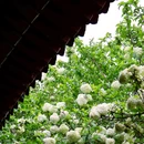 湖南烈士公园 - 长沙市旅游 缩略图 5