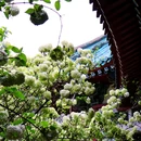 湖南烈士公园 - 长沙市旅游 缩略图 6