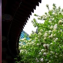 湖南烈士公园 - 长沙市旅游 缩略图 9