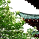 湖南烈士公园 - 长沙市旅游 缩略图 8
