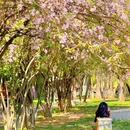 斐吉应-庾园 - 昆明市旅游 缩略图 3