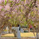 斐吉应-庾园 - 昆明市旅游 缩略图 9