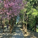 陶然亭公园 - 北京旅游 缩略图 3