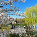 陶然亭公园 - 北京旅游 缩略图 1