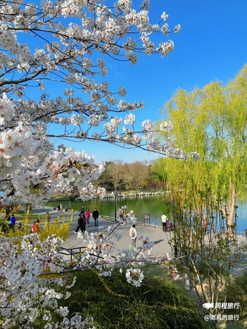 陶然亭公园 - 北京旅游