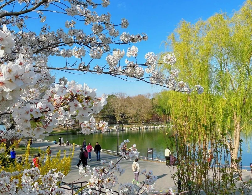 陶然亭公园 - 北京旅游 1