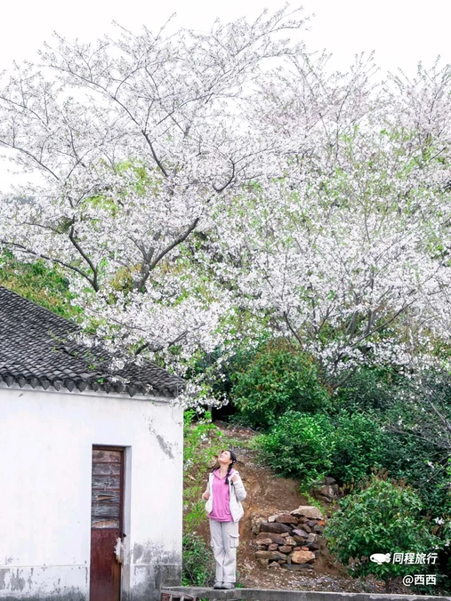 光福镇 - 苏州市旅游