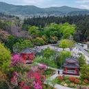南京银杏湖乐园-检票口 - 南京市旅游 缩略图 4