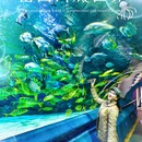 北京工体富国海底世界 - 北京市旅游 缩略图 1