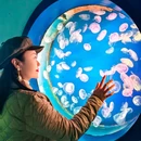 北京工体富国海底世界 - 北京市旅游 缩略图 2