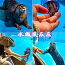 北京工体富国海底世界 - 北京市旅游 缩略图 4
