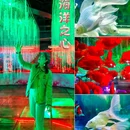 北京工体富国海底世界 - 北京市旅游 缩略图 7