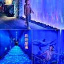 北京工体富国海底世界 - 北京市旅游 缩略图 8