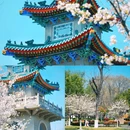 珍珠河 - 南京市旅游 缩略图 4
