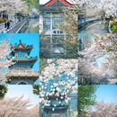 珍珠河 - 南京市旅游 缩略图 1