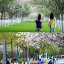 西南交通大学(犀浦校区) - 成都市旅游 缩略图 1