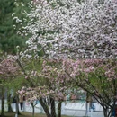西南交通大学(犀浦校区) - 成都市旅游 缩略图 8