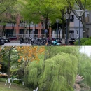 西南交通大学(犀浦校区) - 成都市旅游 缩略图 6