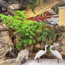 张功馆·地道桐庐菜(钱潮店) - 杭州市旅游 缩略图 6