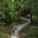 太阳山森林公园云麓七里游步道 - 长沙市旅游 缩略图 5