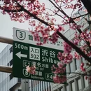 东京 - 日本旅游 缩略图 9