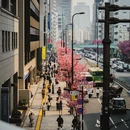 东京 - 日本旅游 缩略图 8