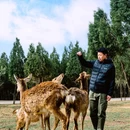 伏羲山云上牧场 - 郑州市旅游 缩略图 1