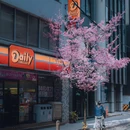 东京 - 日本旅游 缩略图 2