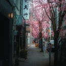 东京 - 日本旅游 缩略图 3