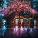 东京 - 日本旅游 缩略图 1