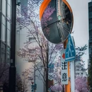 东京 - 日本旅游 缩略图 5