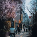 东京 - 日本旅游 缩略图 7