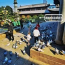 上海真如寺 - 上海市旅游 缩略图 8