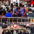 富禄苗族乡 - 柳州市旅游 缩略图 2