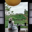 逸山海·小茶园(惠州万亩茶园店) - 惠州市旅游 缩略图 6