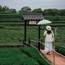 逸山海·小茶园(惠州万亩茶园店) - 惠州市旅游 缩略图 9