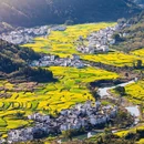 江岭景区 - 上饶市旅游 缩略图 3