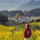 江岭景区 - 上饶市旅游 缩略图 2