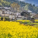 江岭景区 - 上饶市旅游 缩略图 5