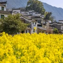 江岭景区 - 上饶市旅游 缩略图 6
