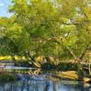 江岭景区 - 上饶市旅游 缩略图 9